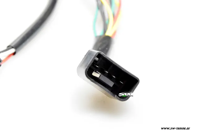 SW-Light LED taillights for VW Golf 5 03-09 black/smoke