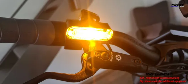 SW-Steereon C30 E-Scooter Klappbar mit Sitz 500W-Motor Ausstattungsversion PLUS 2025 Version