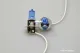 H3 Xenon-Look Lampe für 12 V/ 55 W (2 Stk.)